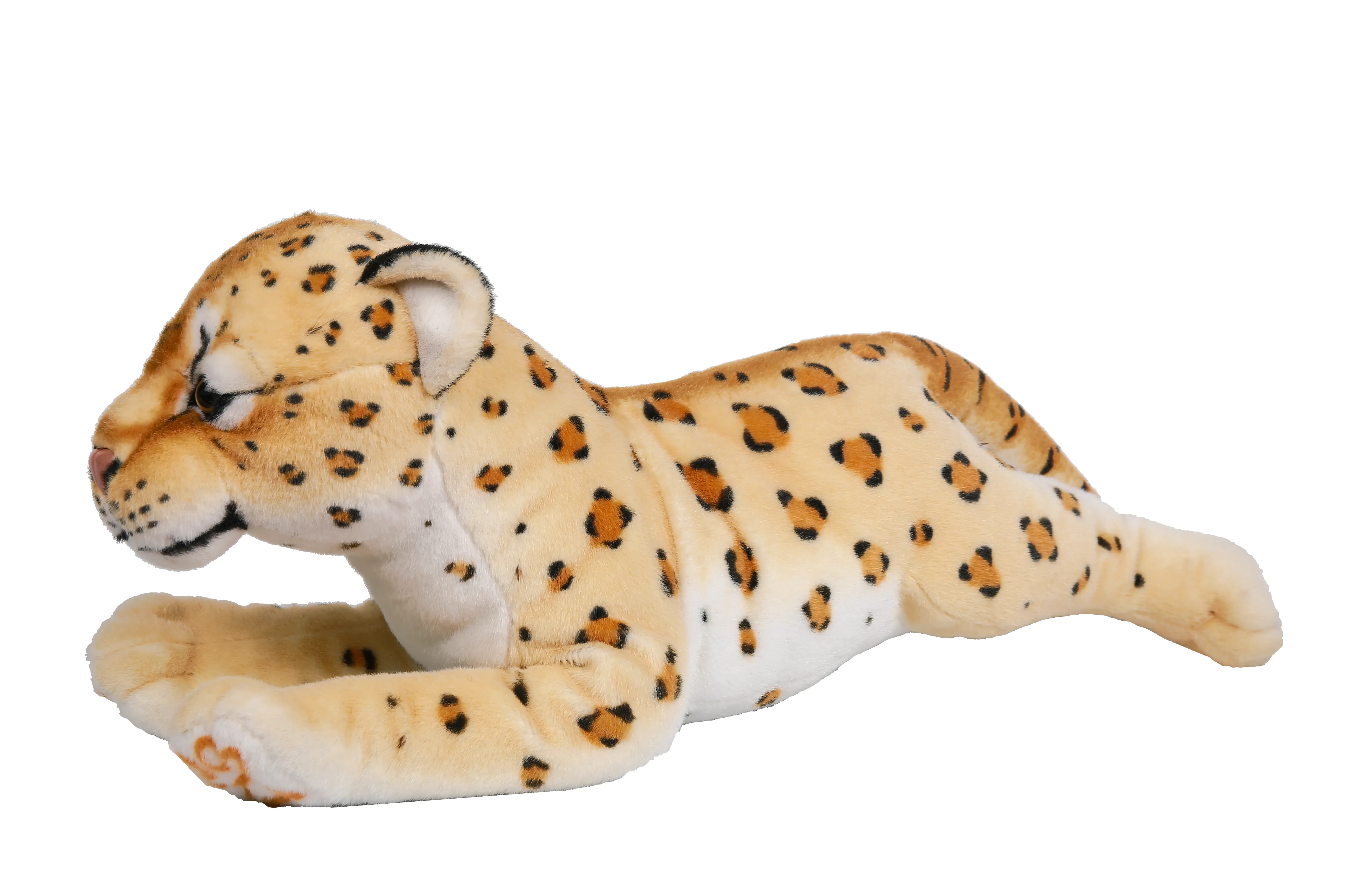 Laying Jungle Cats 4