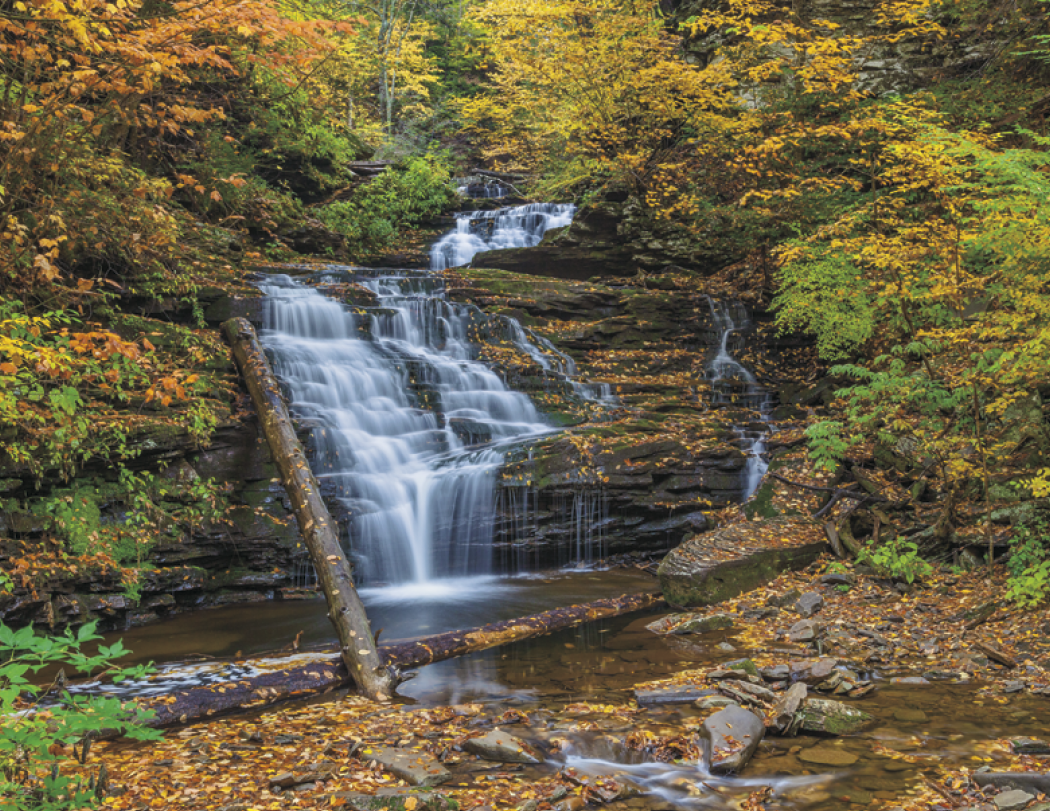 HotLine® Products Contemplations Appointment Calendar - Spiral 12