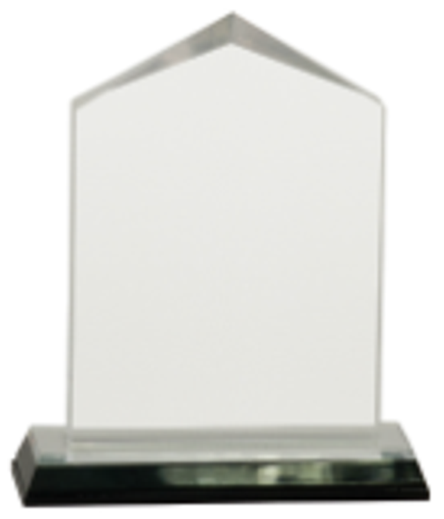 5.5" Silver Jewel Impress Acrylic Award