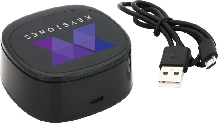Swivel TWS Wireless Earbuds and Charger Case 5