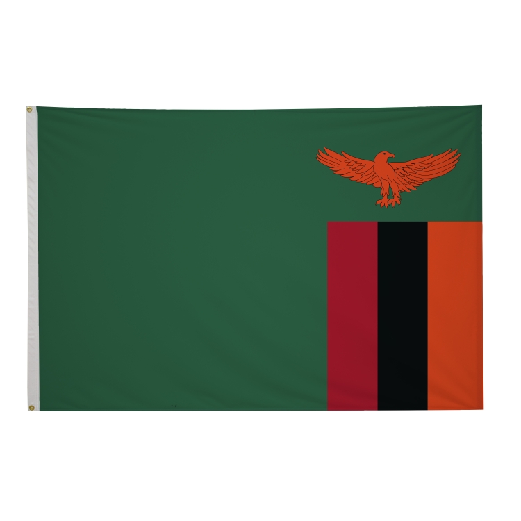 4' x 6' International Flags 142