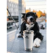 Stanley Stay-Chill Stacking Pint 16oz 79