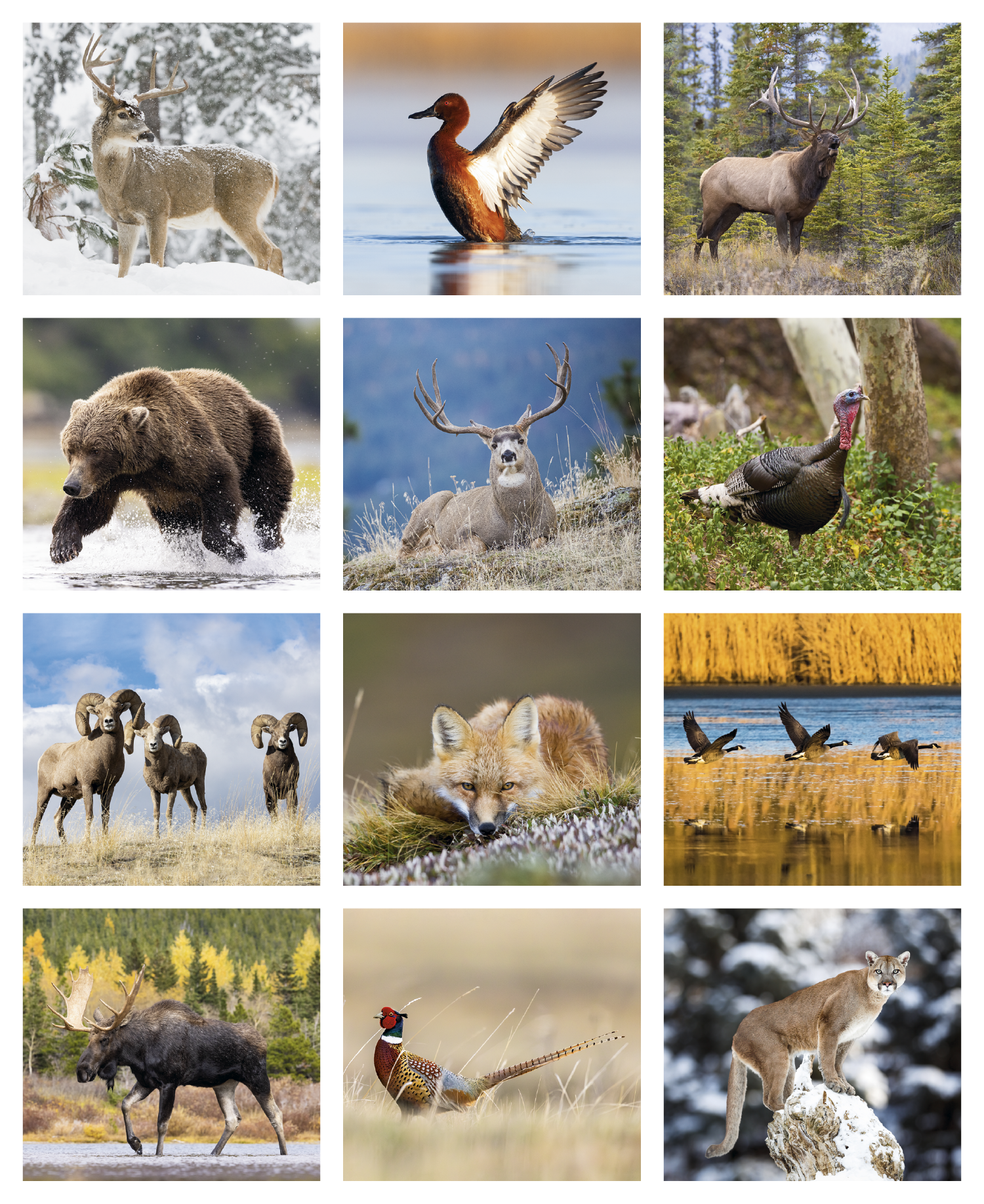 Triumph® Calendars Sportsman Calendar 29