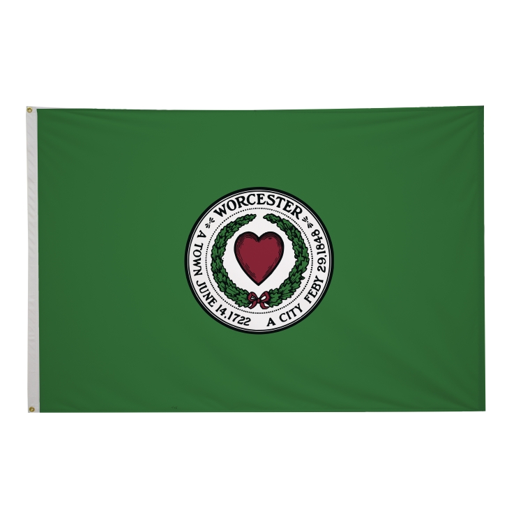 4' x 6' City Flags 11