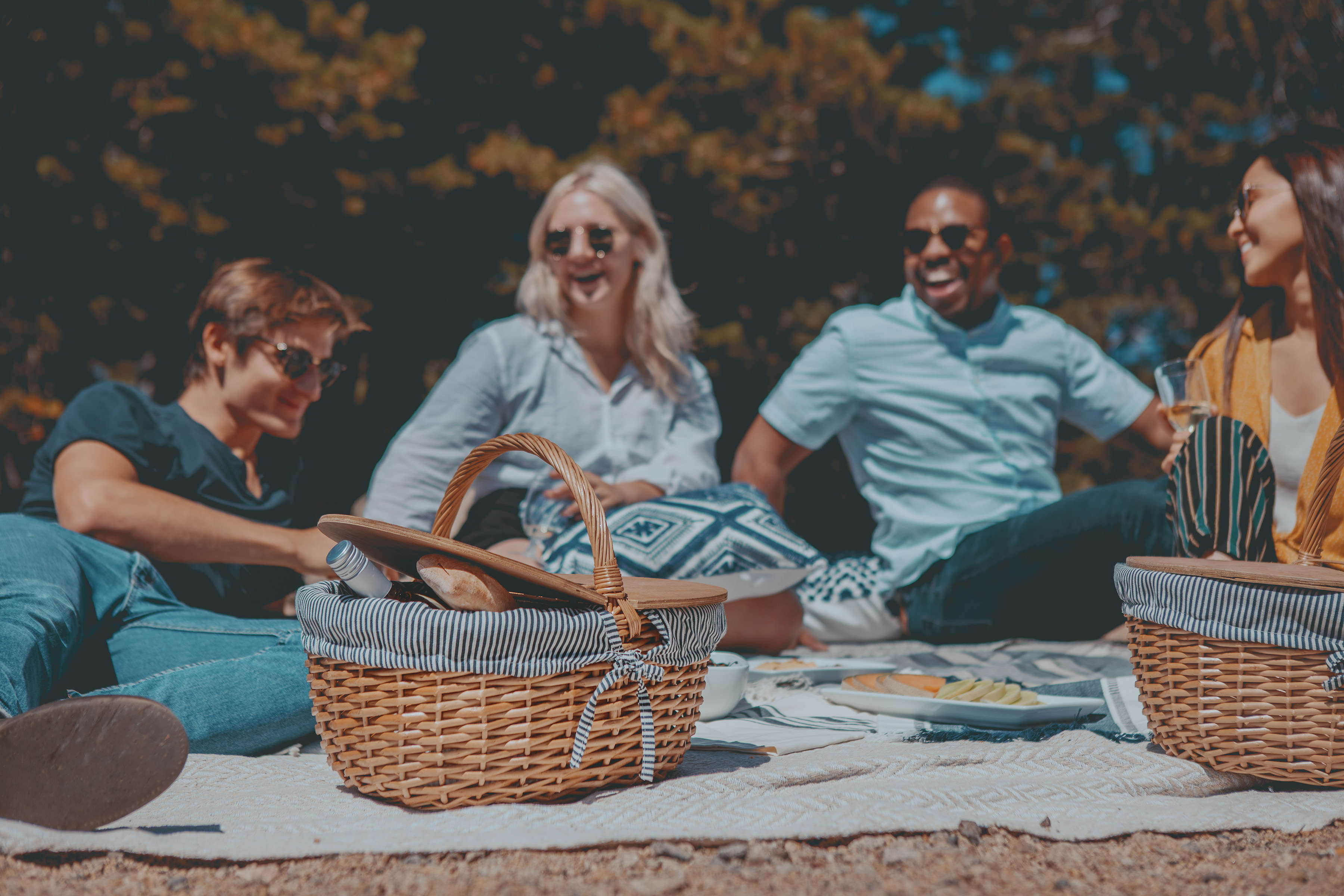 Country Picnic Basket 12