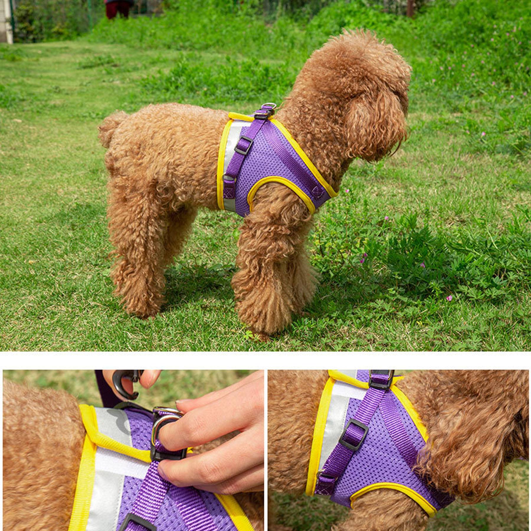 Reflective Pet Vest Type Traction Rope 6