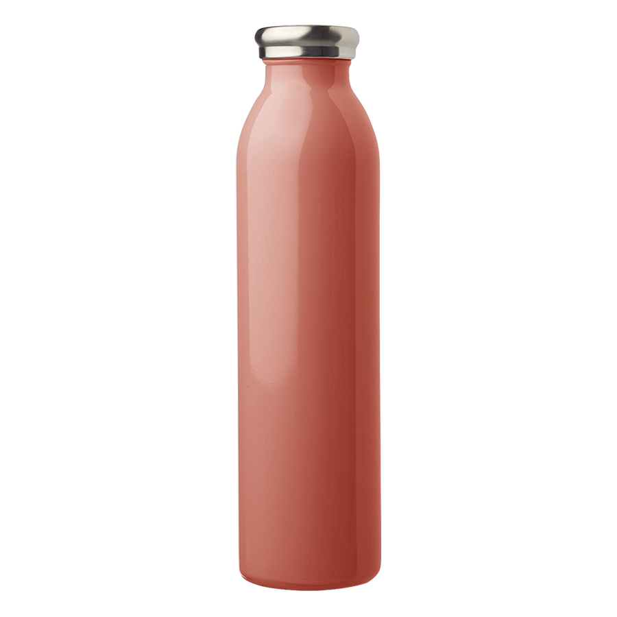Stainless Steel Water Bottle - Pop Color, 20 oz. 12
