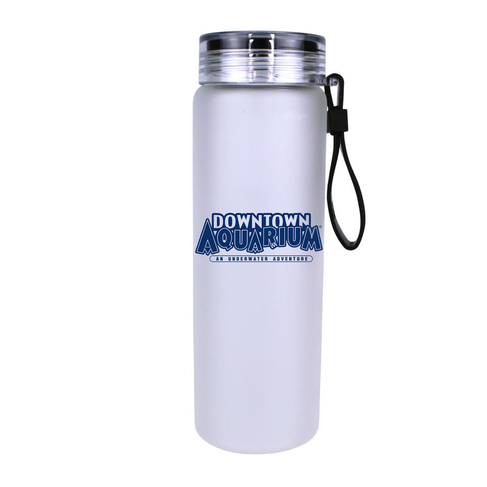 Halcyon® 20 oz. Frosted Glass Bottle with Screw on Lid 18
