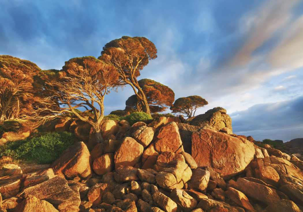 Triumph® Calendars World Scenic Calendar 24