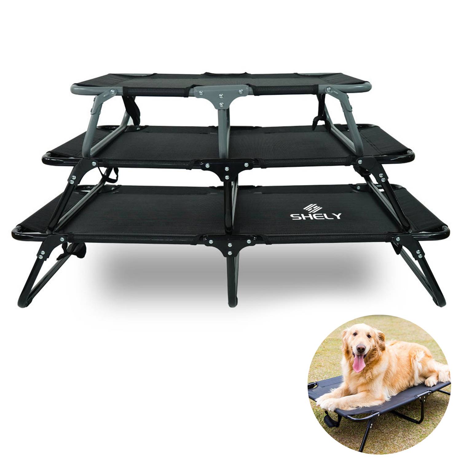 Elevated Raised Small Dog Bed Cots 3