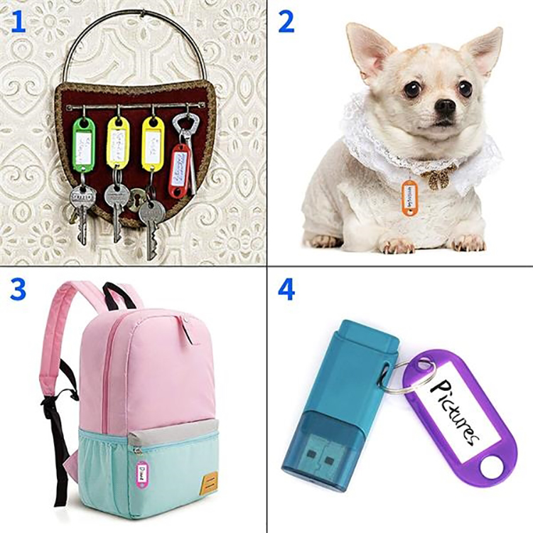 Plastic Key Tags with Container 3