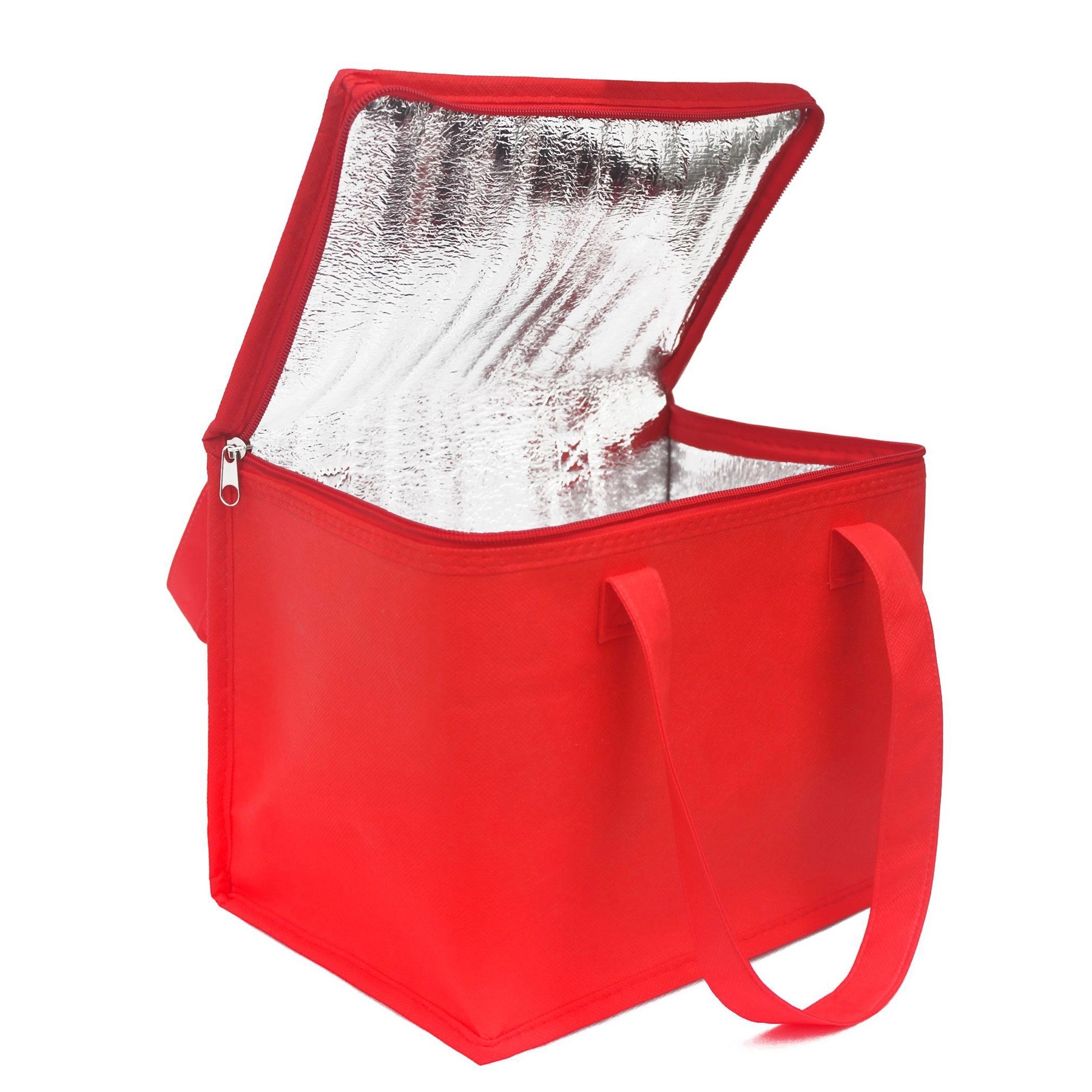 Picnic Insulated Ice Pack 4
