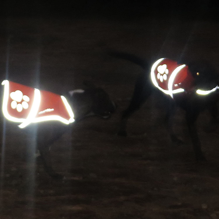 Dog Reflective Vest- M size 5