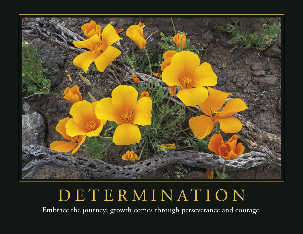 Triumph® Calendars Motivations Calendar 50