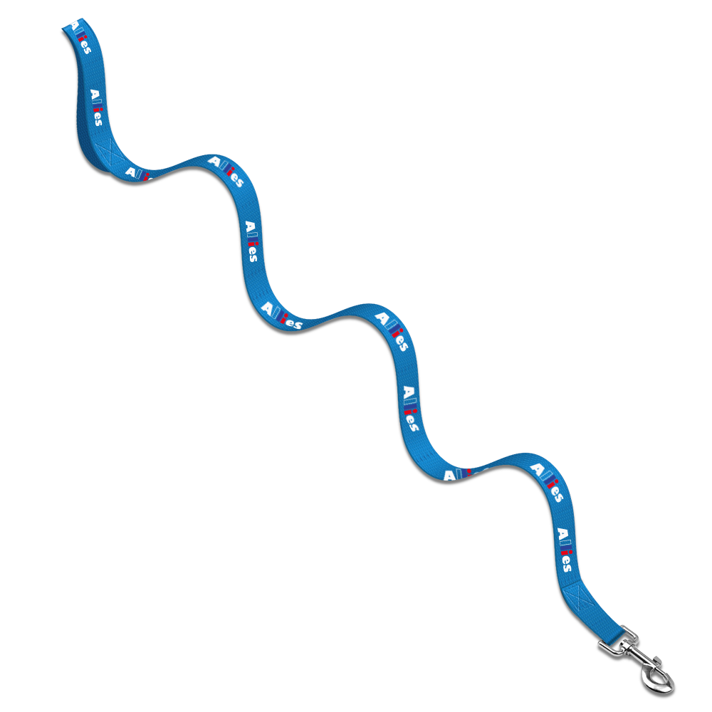Baxter Leash with Collar Hook 9
