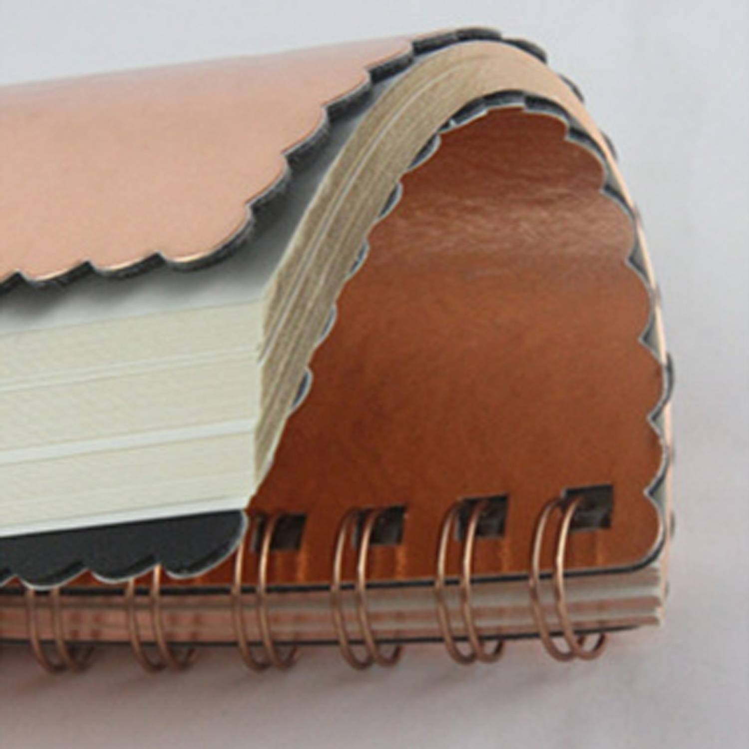 Metallic Notebook 8