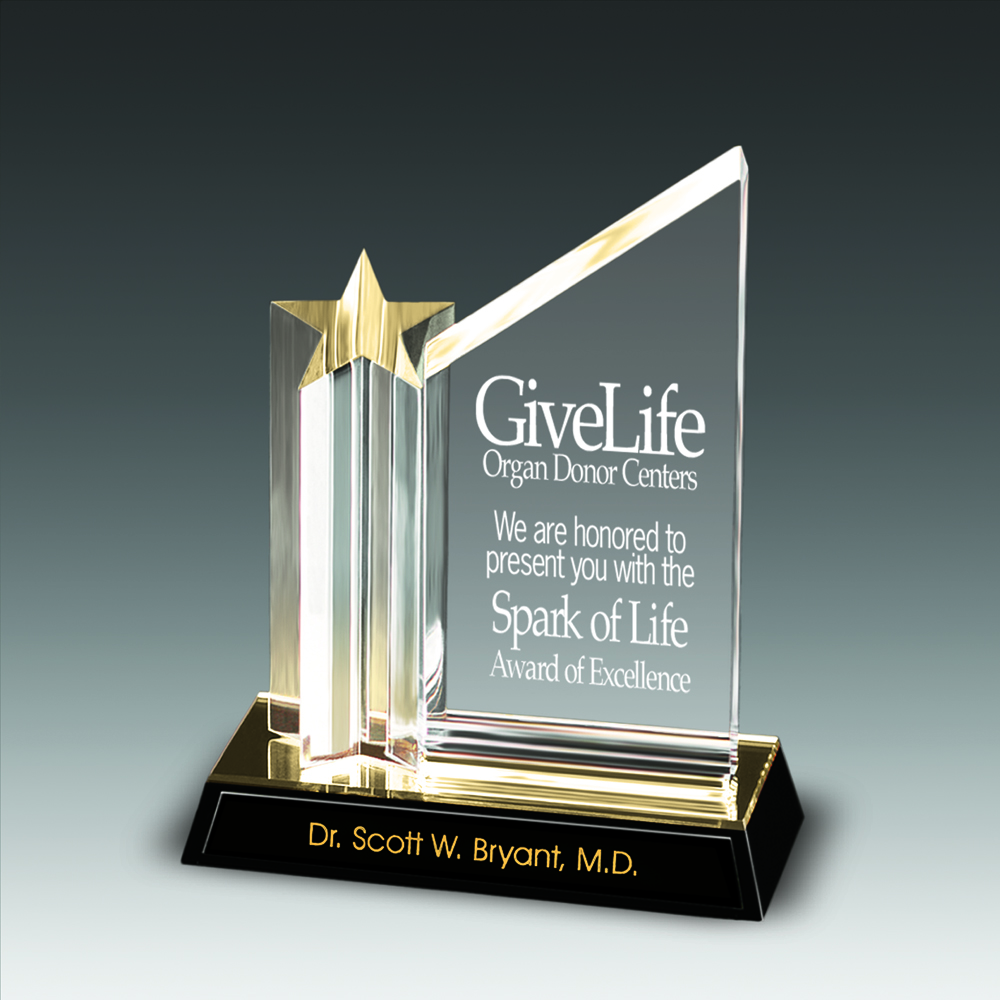 9" Star Achiever Award 2
