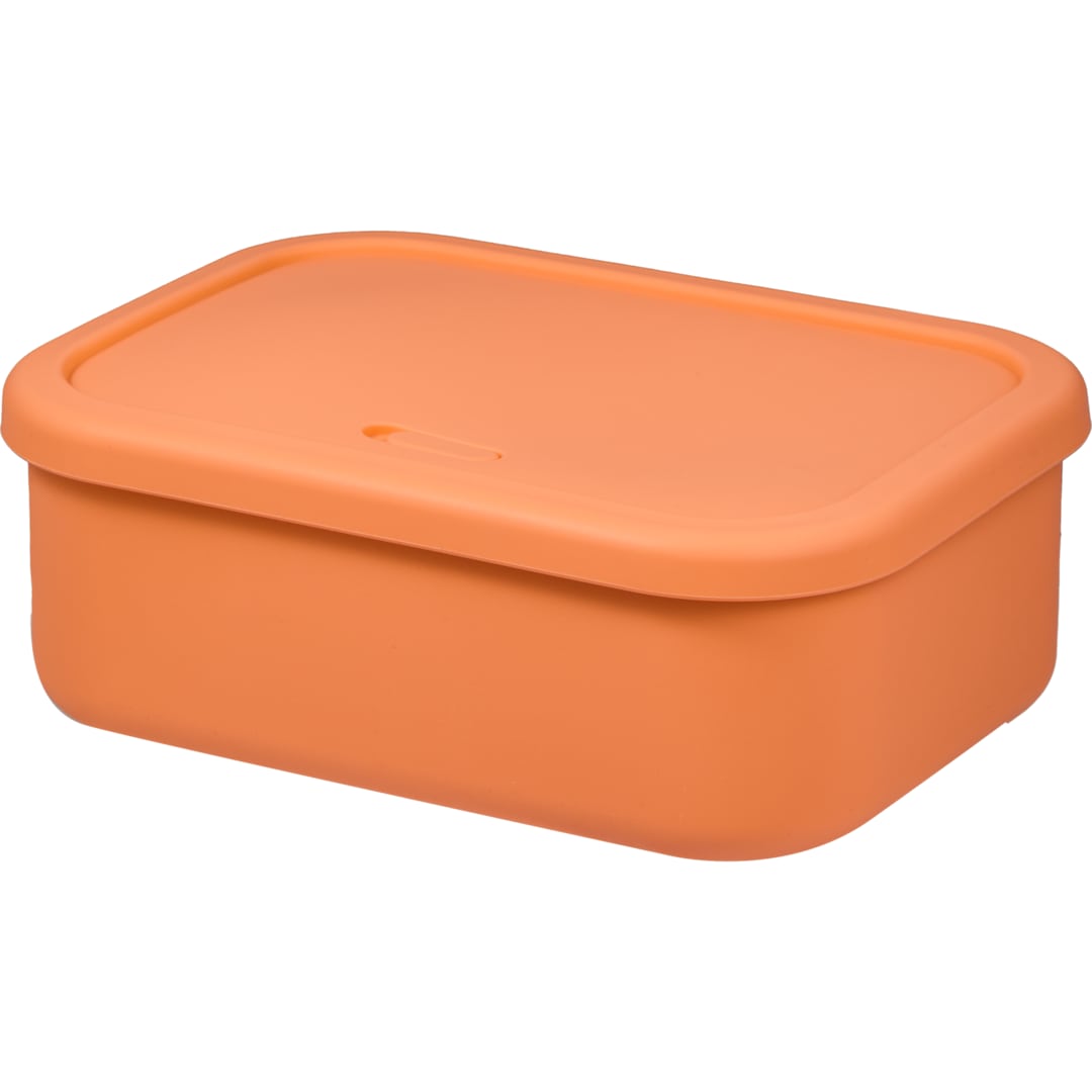 Silicone Food Storage Box with Air Valve 44oz 72