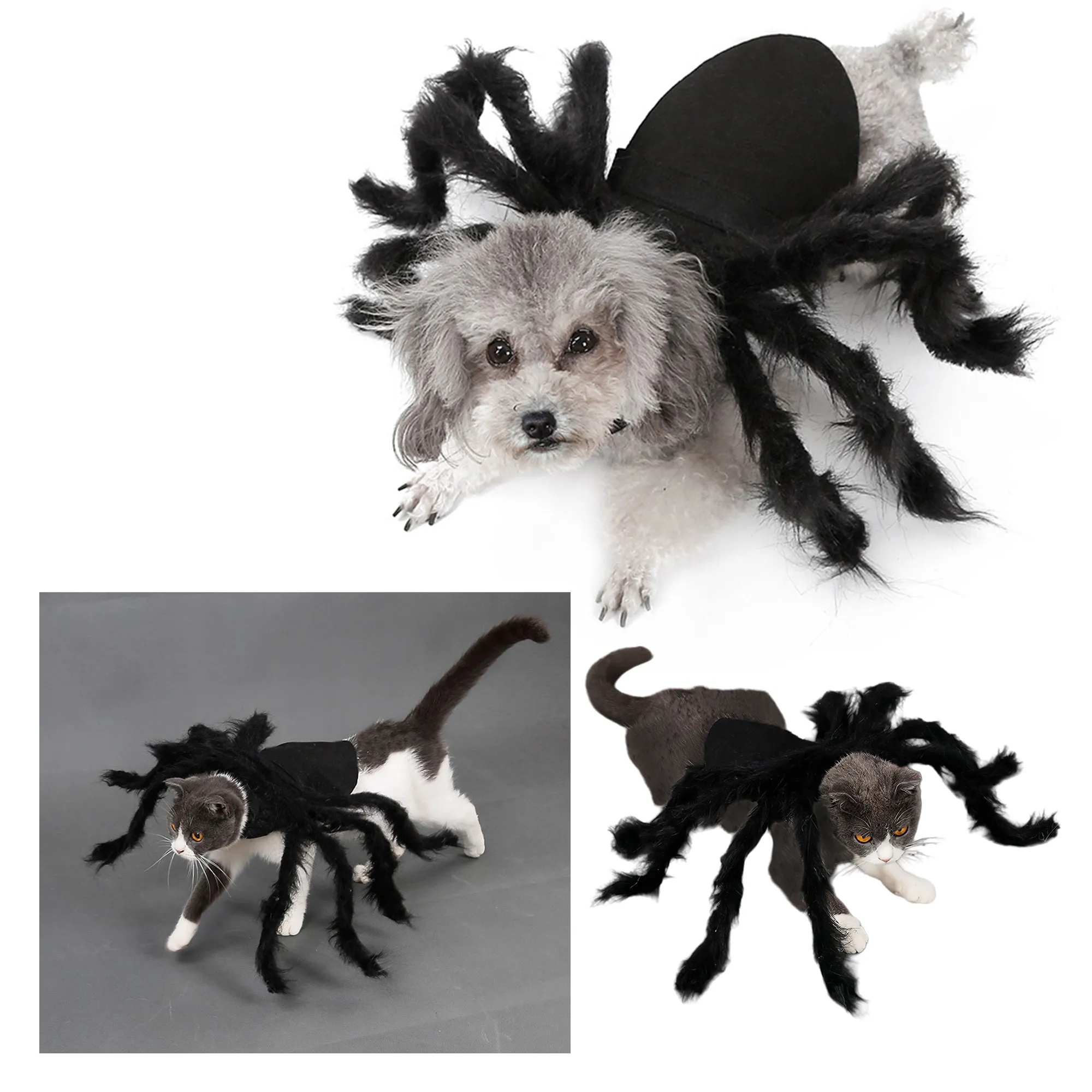 Spooky Spider Plush Pet Costume For Halloween Party 2