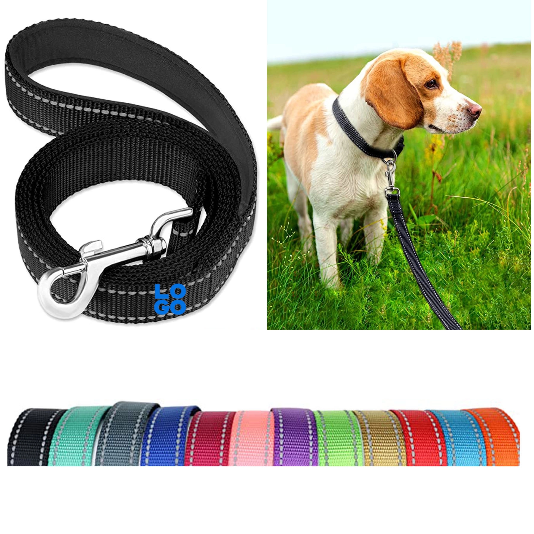 Nylon Dog Leash 2