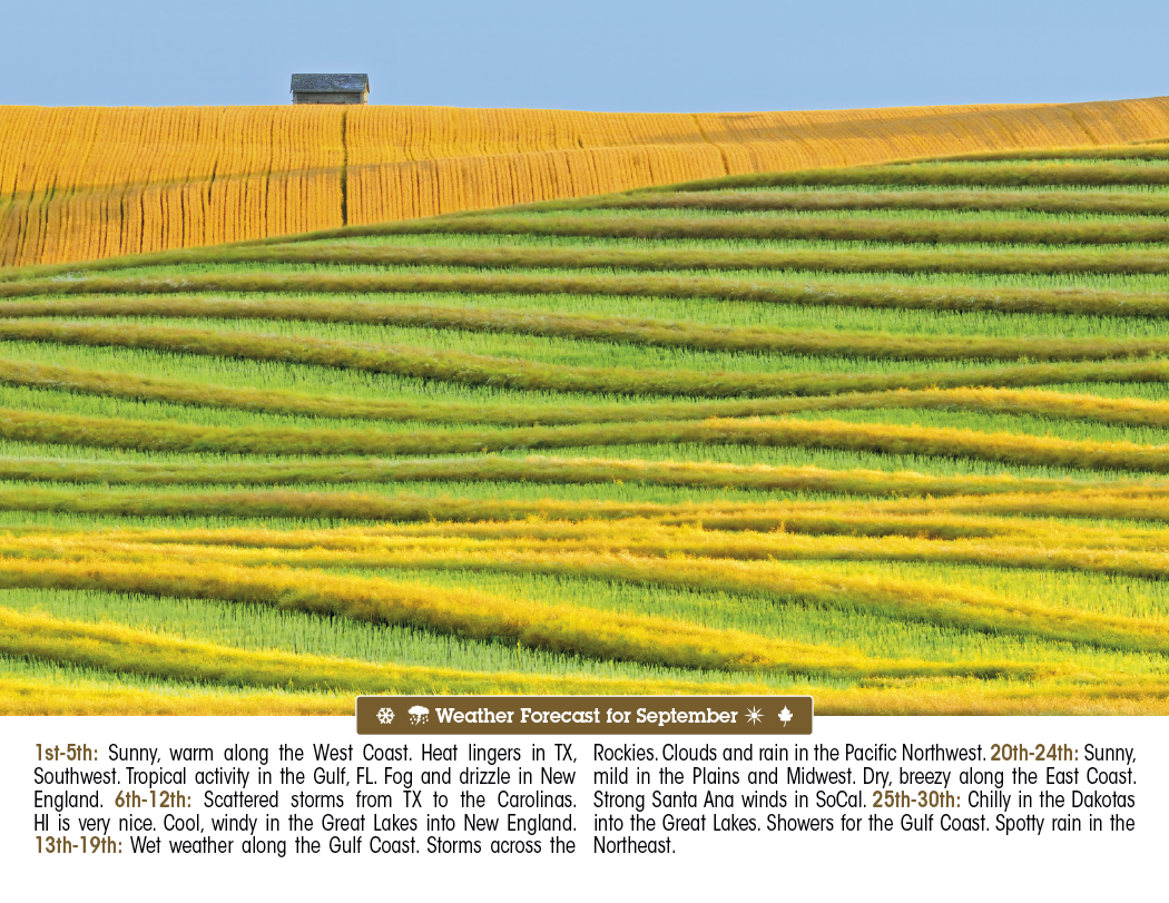 Triumph® Calendars Scenic Almanac 42