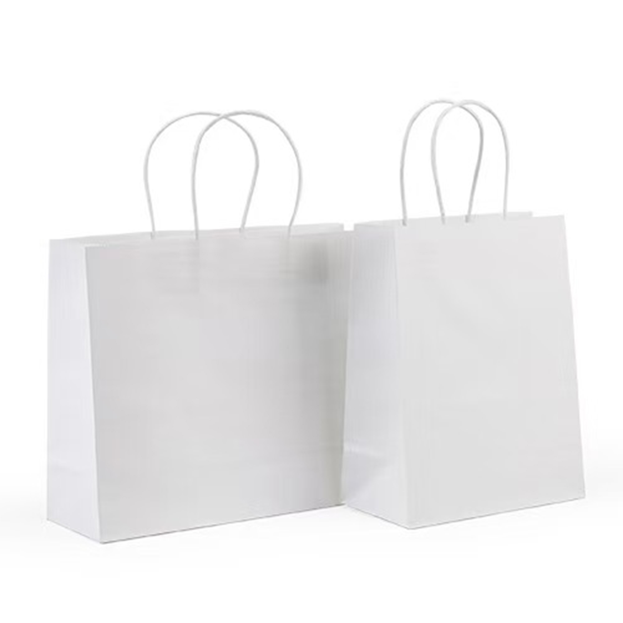 Paper Shopping Bags 3