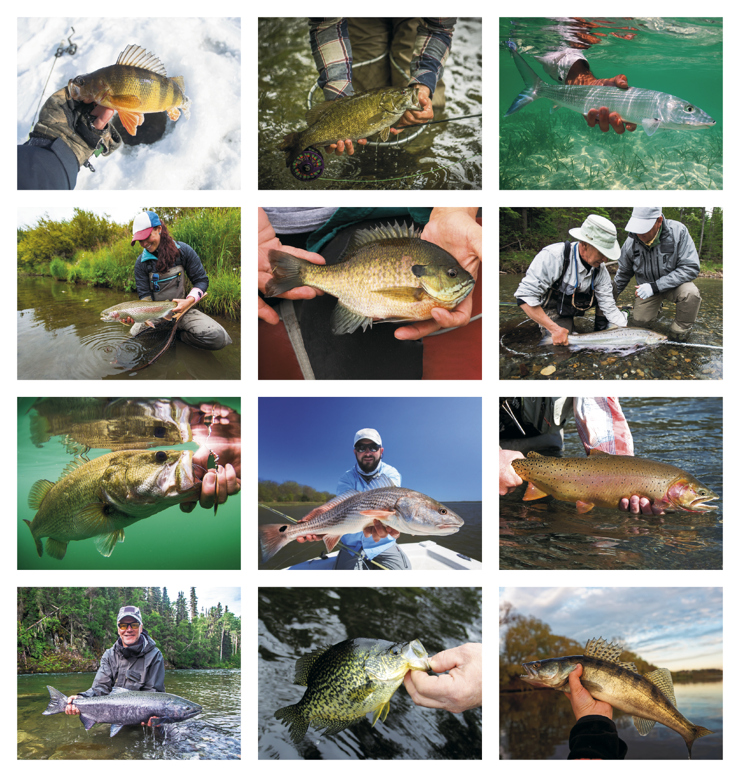 HotLine® Products Fishing Guide Appointment Calendar - Stapled 43