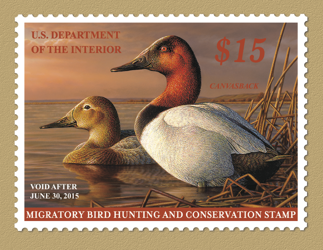 Triumph® Calendars Duck Stamps Calendar 6