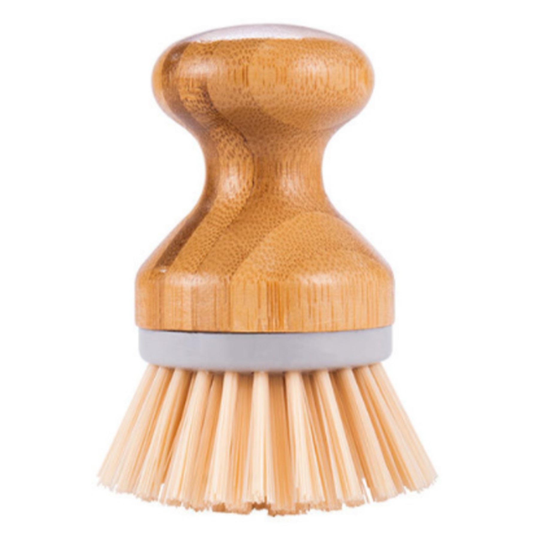 Palm Pot Brushes 2