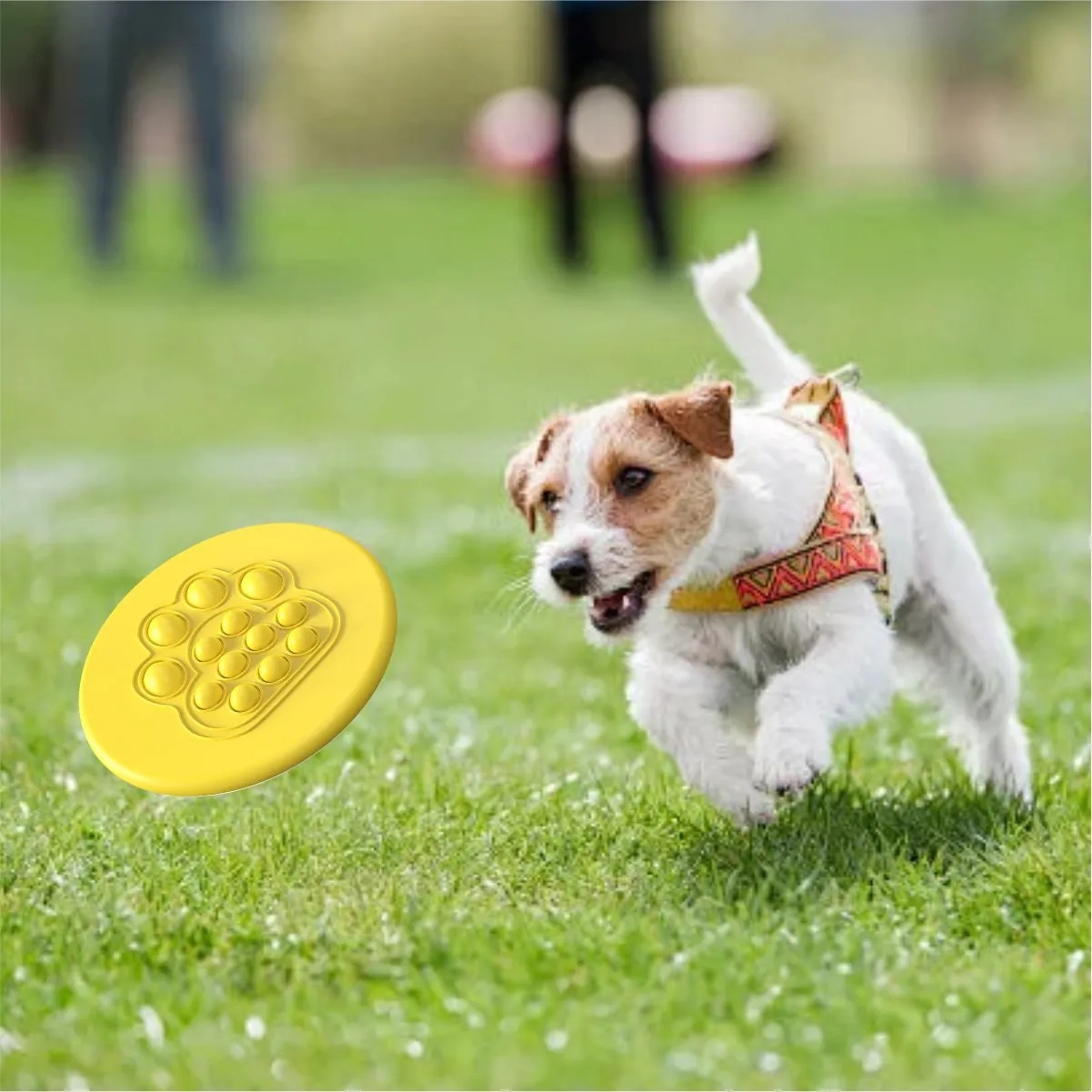 Customizable Durable Dog Flying Disc Pet Toy 6
