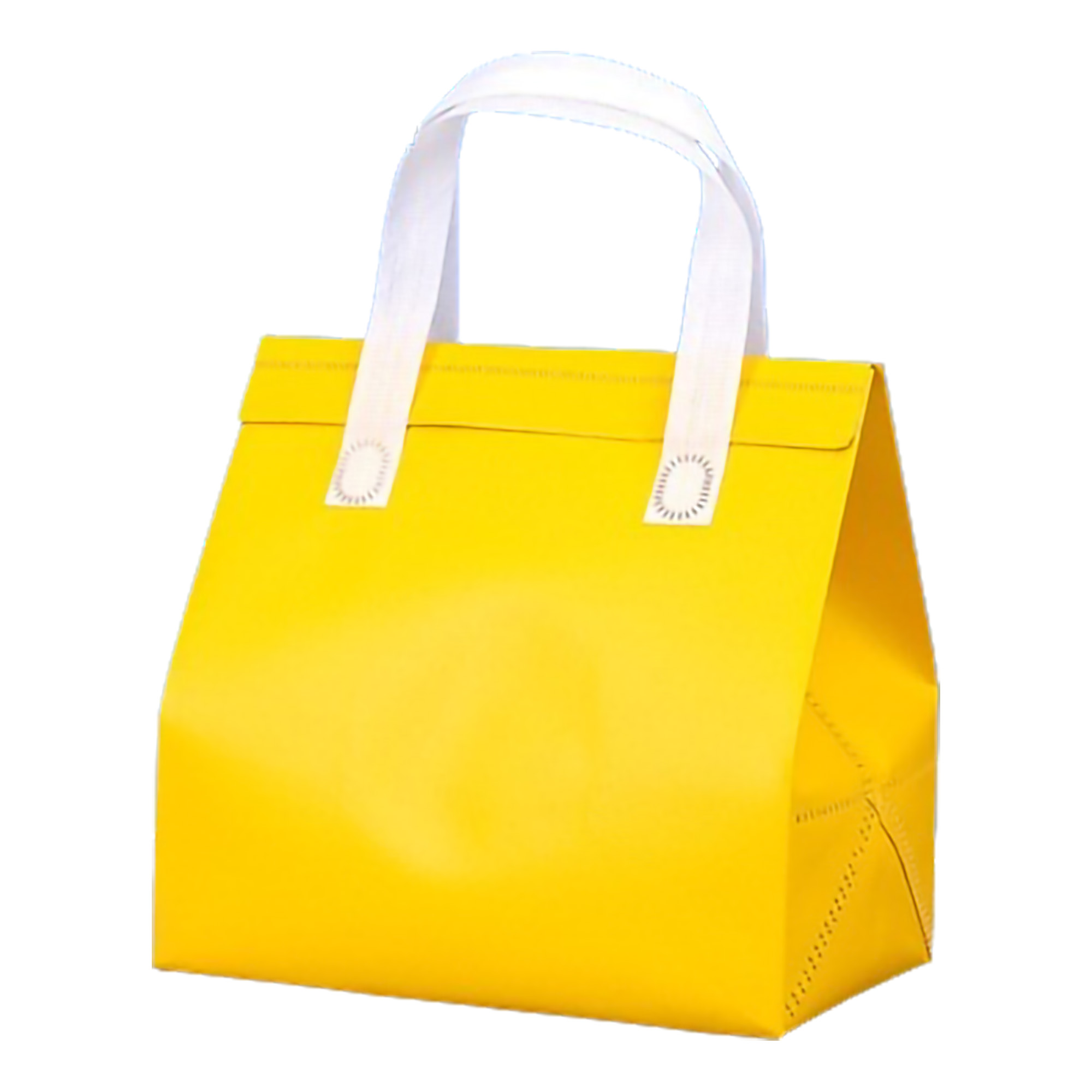 Waterproof Cooler Insulated Tote Bag MOQ50 2