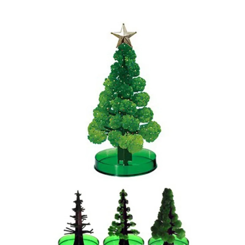 Magic Paper Growing Tree 5