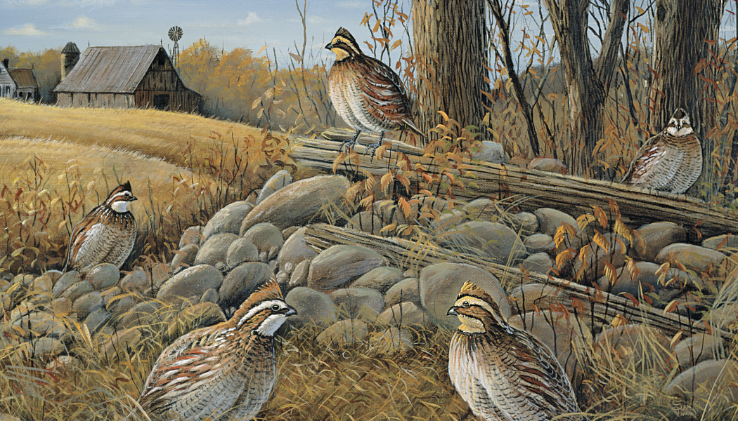 Triumph® Calendars Wildlife Art Calendar 4
