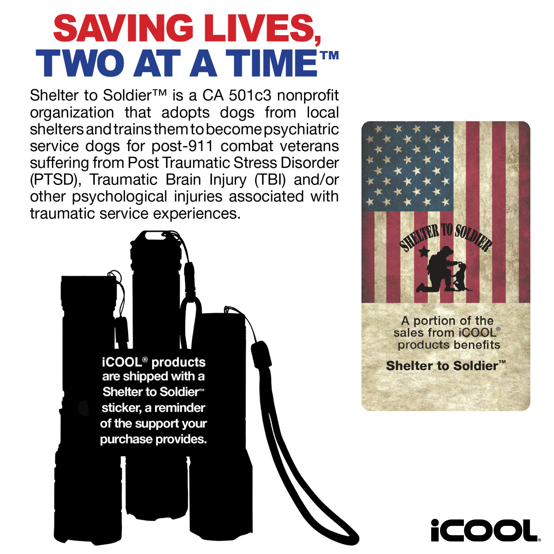 iCOOL Englewood Multi-Function Camping Light 15