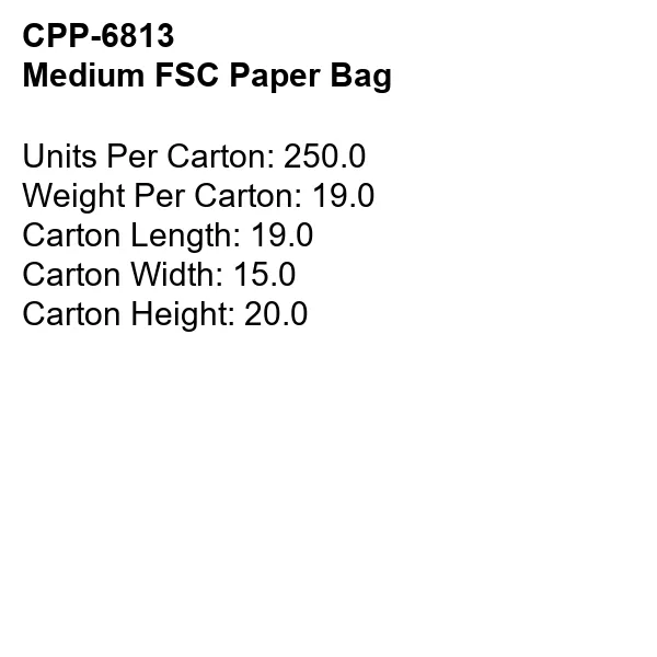 MEDIUM FSC PAPER BAG 10