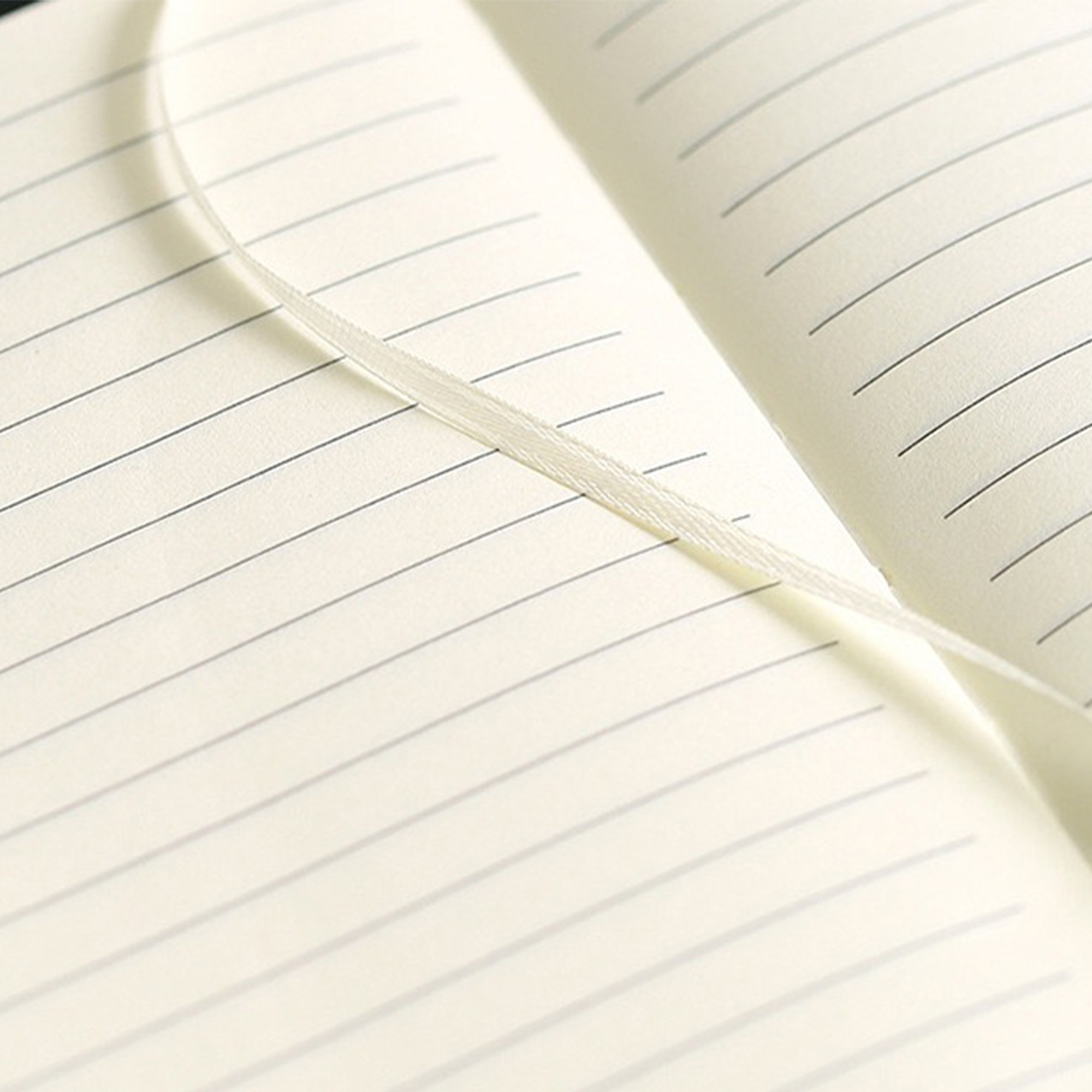 A5-sized notebooks with 12 color options available 3