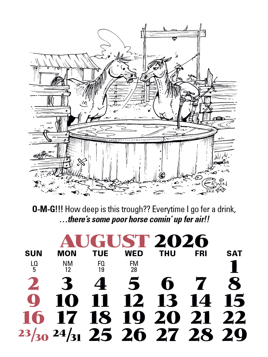 Press-N-Stick Cowboy Calendar