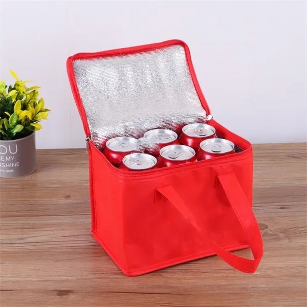 6 Cans Insulated Reusable Grocery Cooler Bag 2