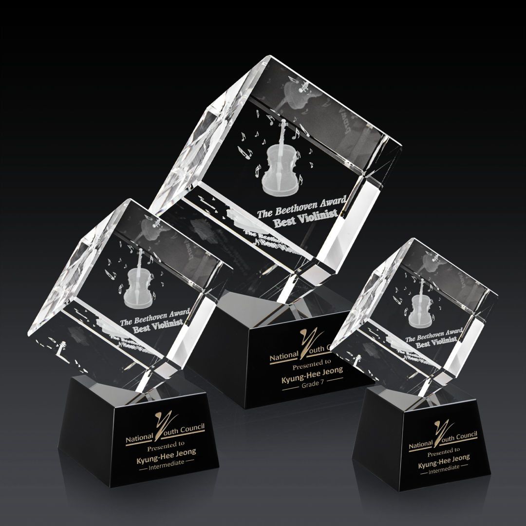 Burrill 3D Award on Robson Base - Black 8