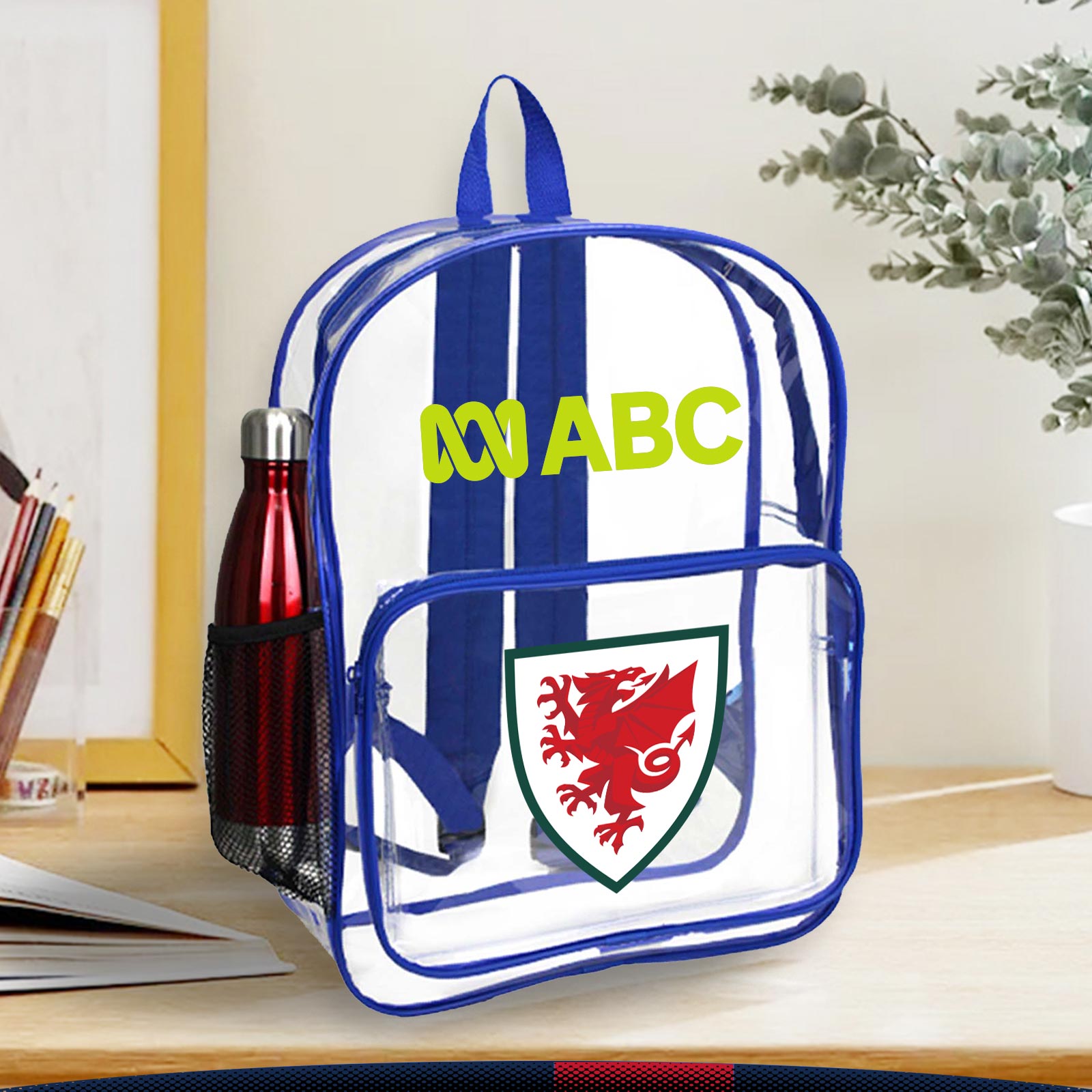 Faddish Clear Backpack 3