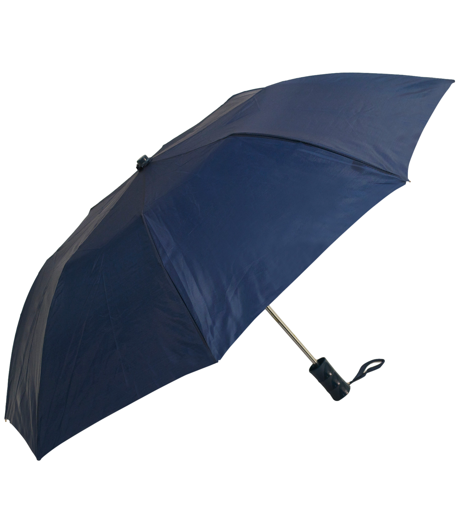 Budget Folding Umbrella 2