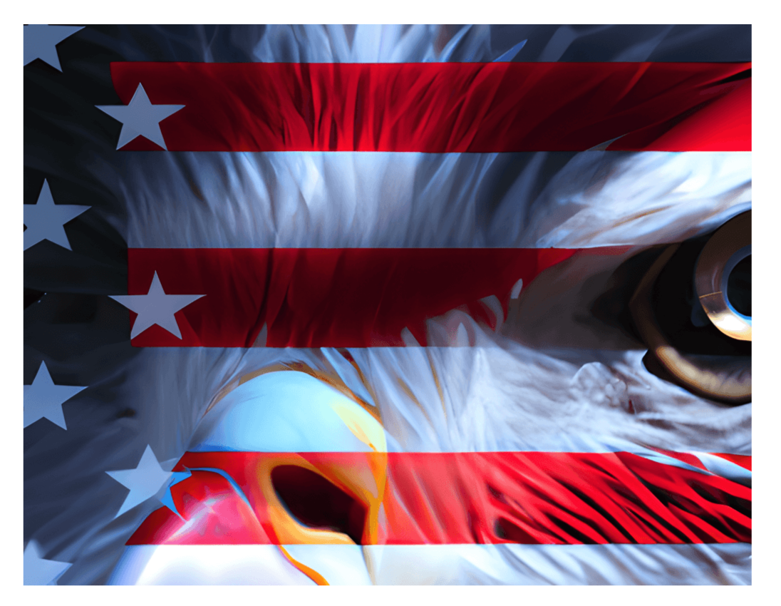 Photo Color Custom Flag on White Fabric