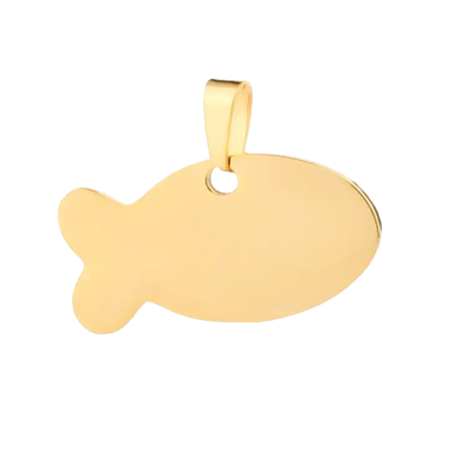 Fish Shaped Stainless Steel Pet Tag 5