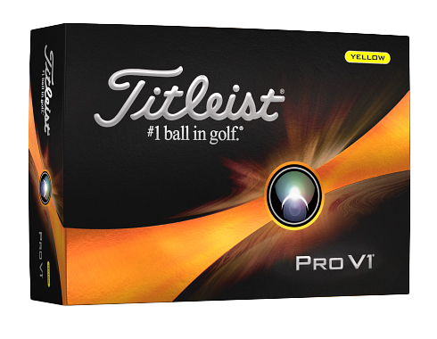 Titleist Pro V1 Golf Ball Standard Service 10