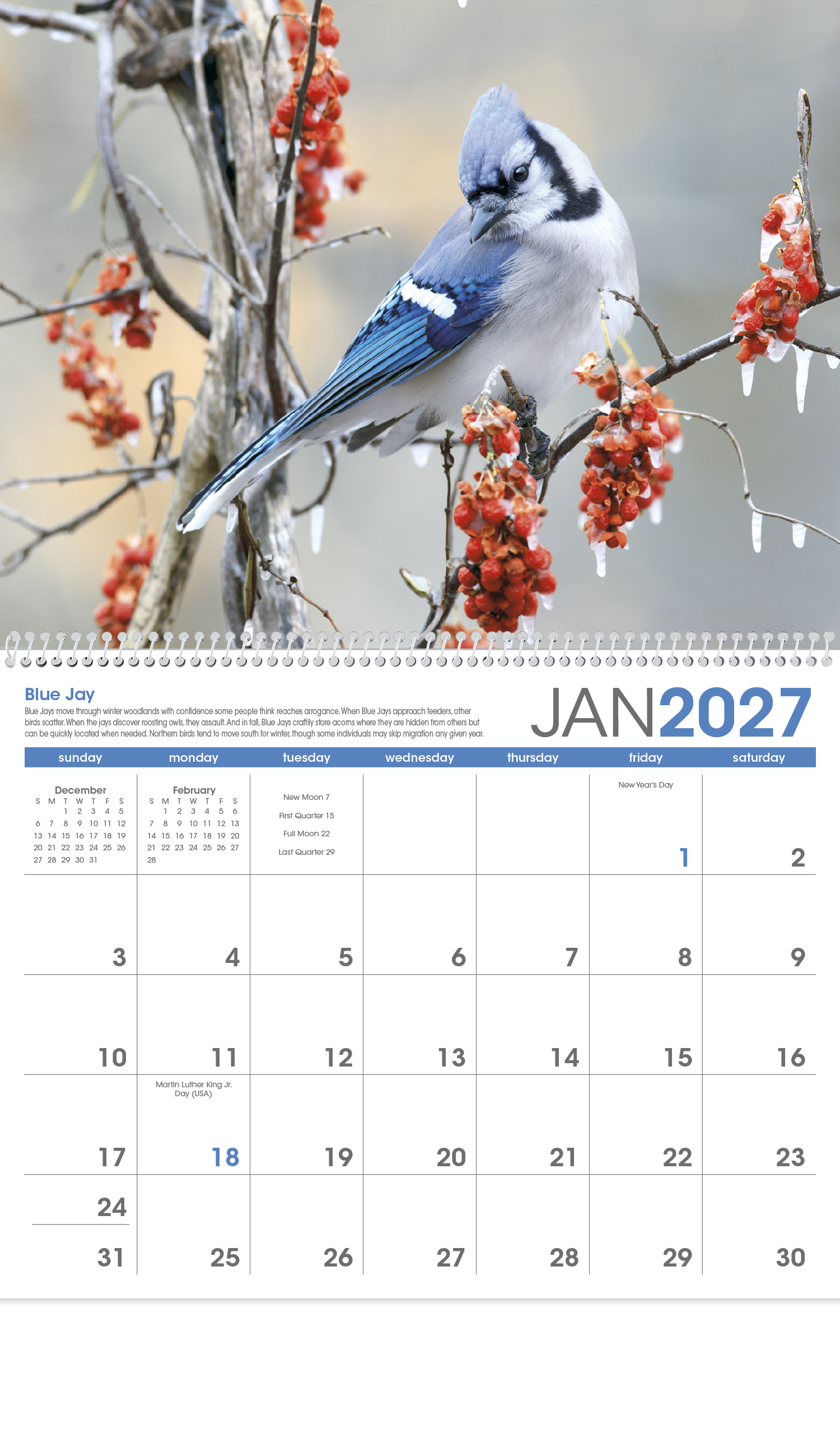 Triumph® Calendars Birds Calendar 91