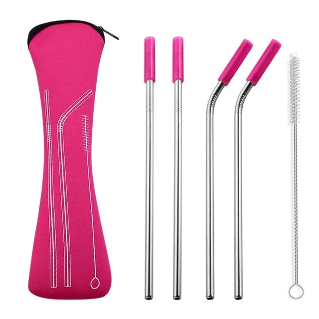 Reusable Stainless Steel Straw Set 13