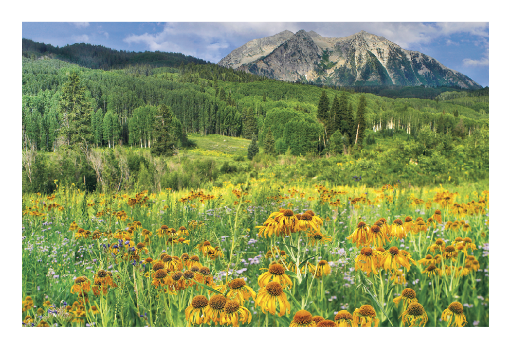 Triumph® Calendars Beautiful America Pocket Calendar 40