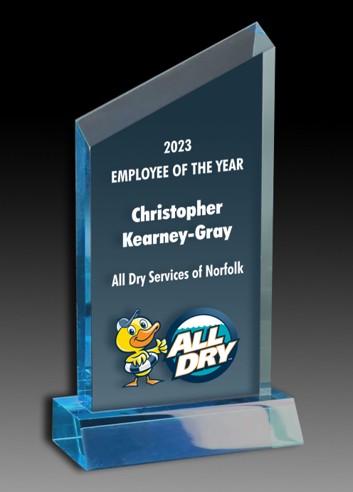 Acrylic Wedge Award 2