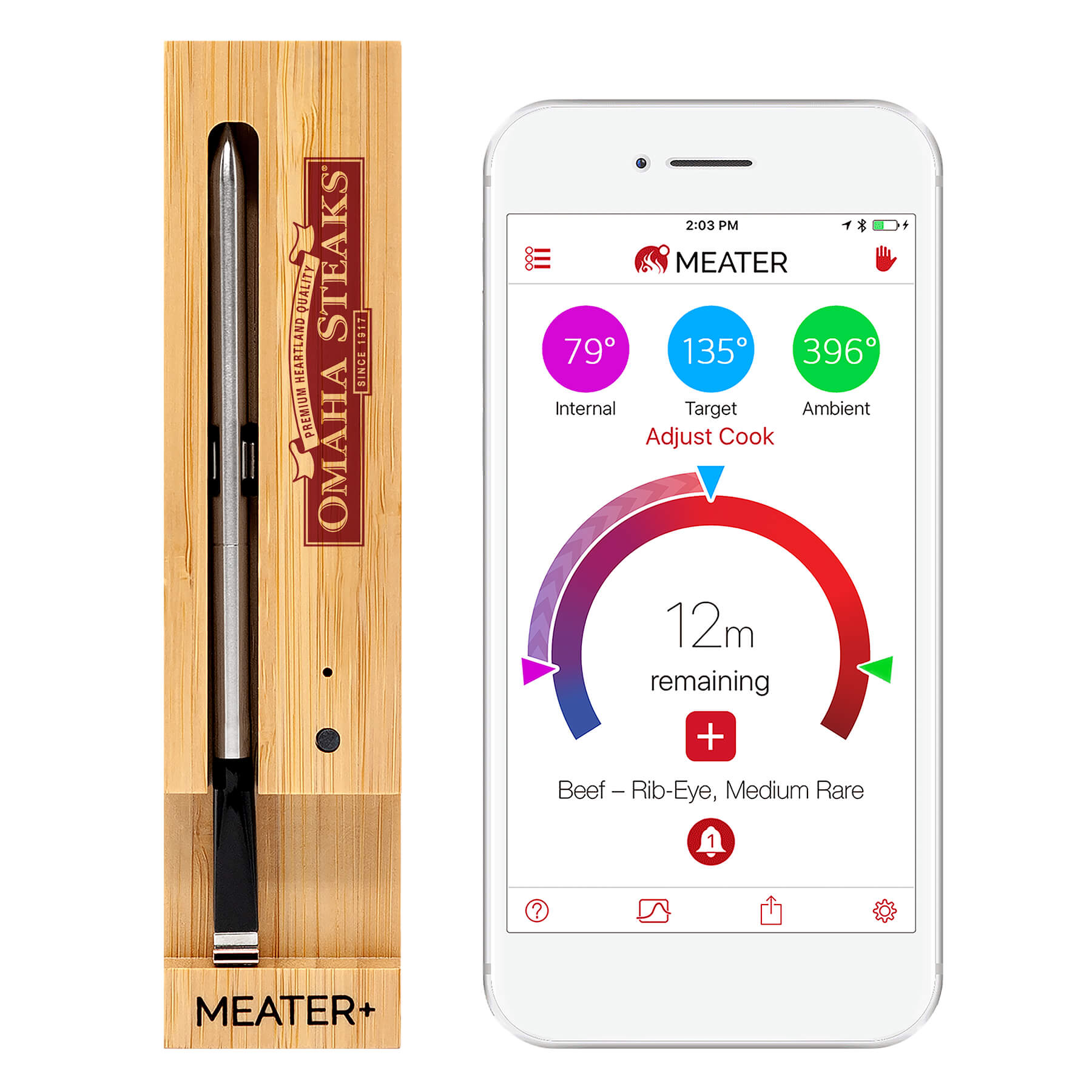 + 165ft Wireless Smart Meat Thermometer