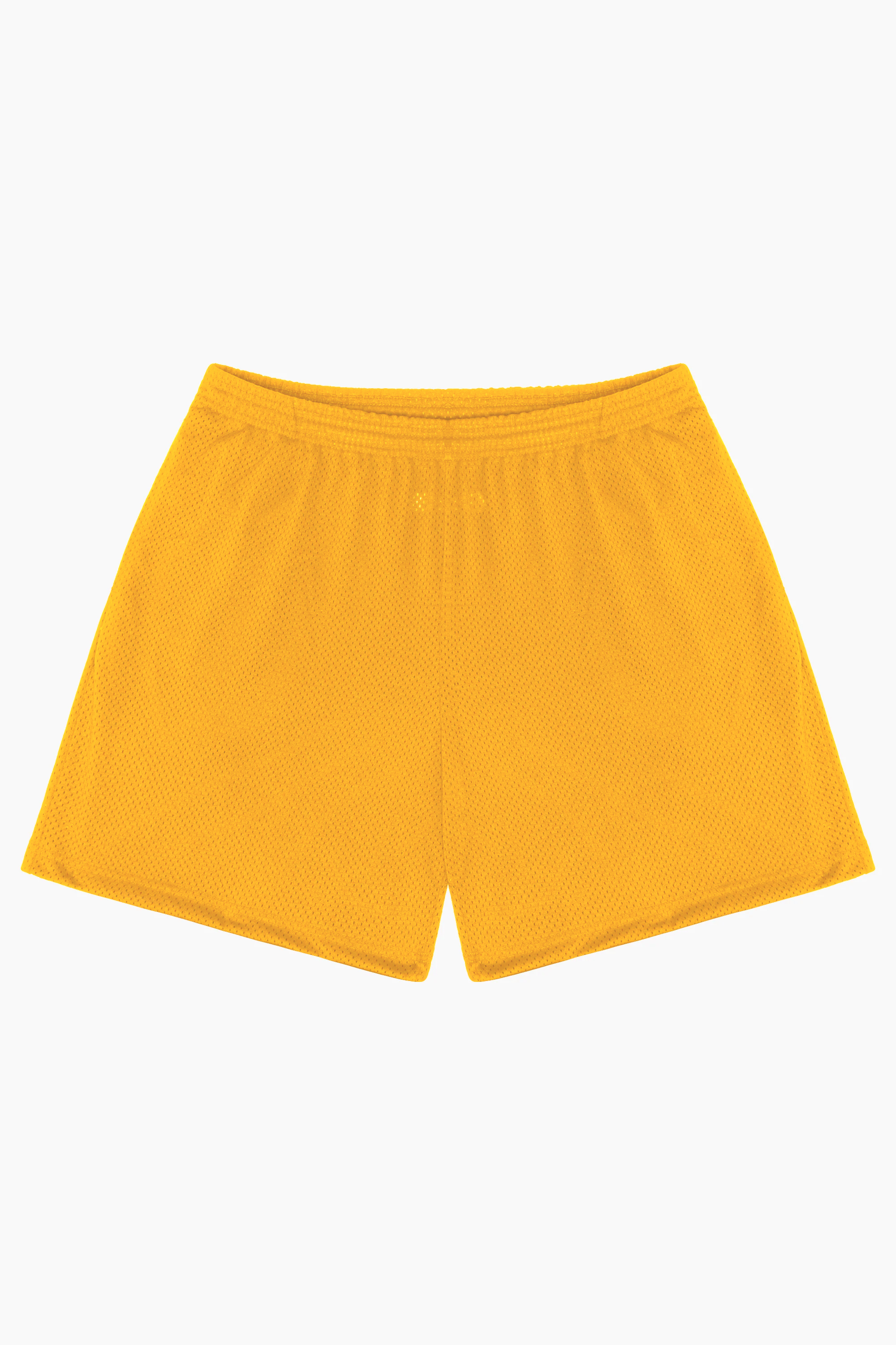 PRO MESH MID-LENGTH SHORTS 45